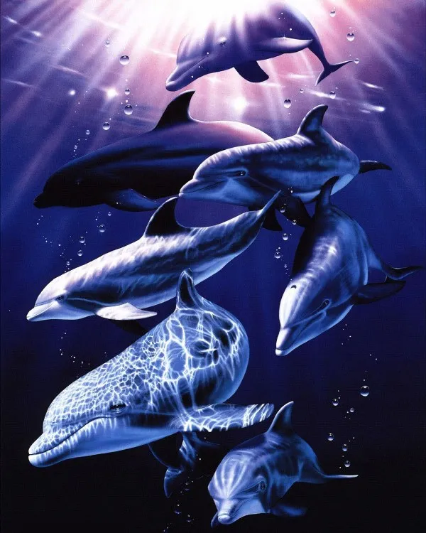 Картина по номерам 40х50 Дельфины (VA-3606)