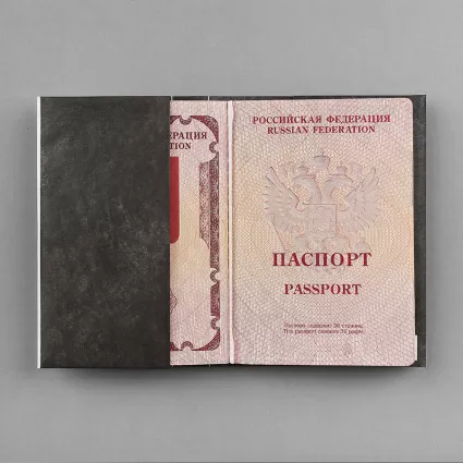 Обложка на паспорт NEW COVER - new Skylines