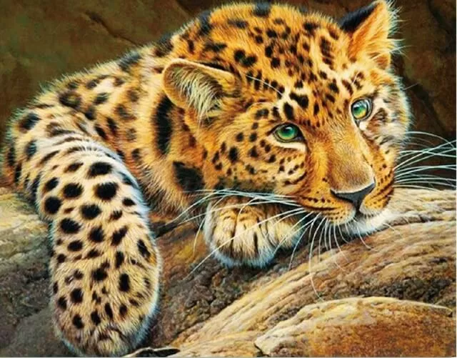 Алмазная мозаика Африканский леопард 40х50 см