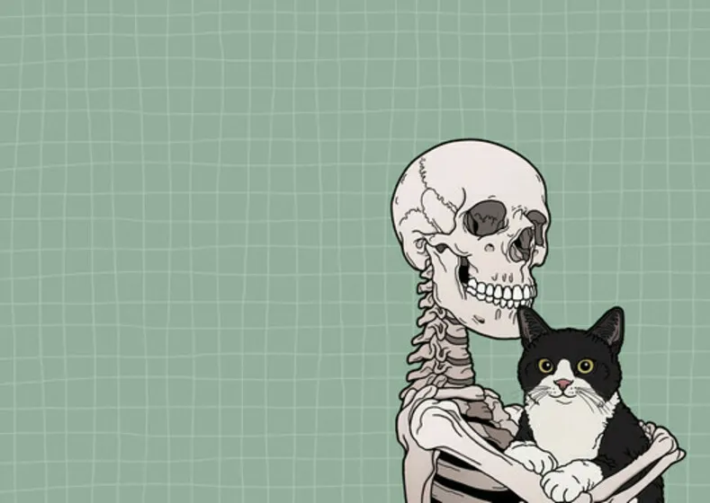 Обложка для паспорта Скелет с котиком