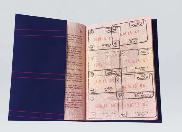 Обложка на паспорт NEW WALLET - New Hannya
