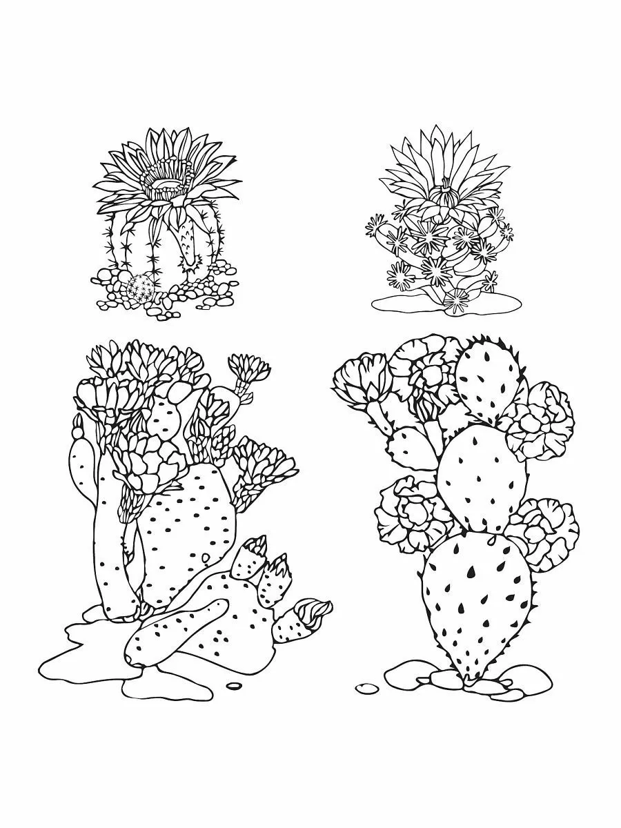 Раскраски сложные кактусы