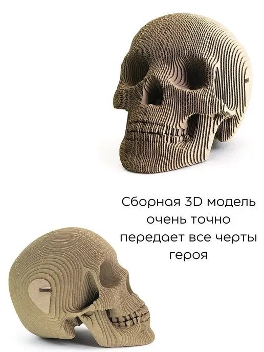 3D конструктор Череп