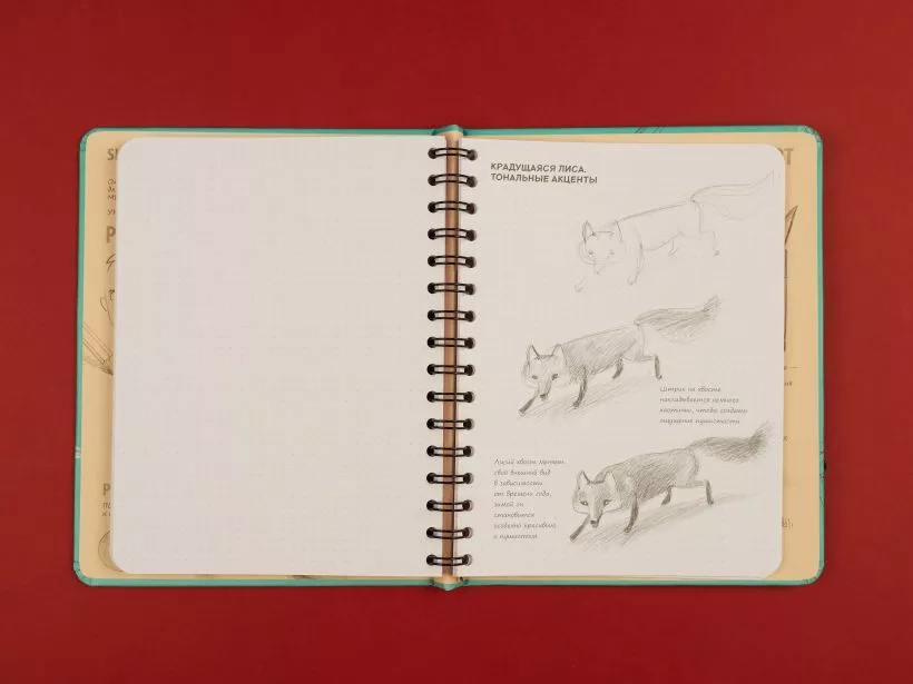 Sketchbook с уроками внутри. Рисуем животных (мята)