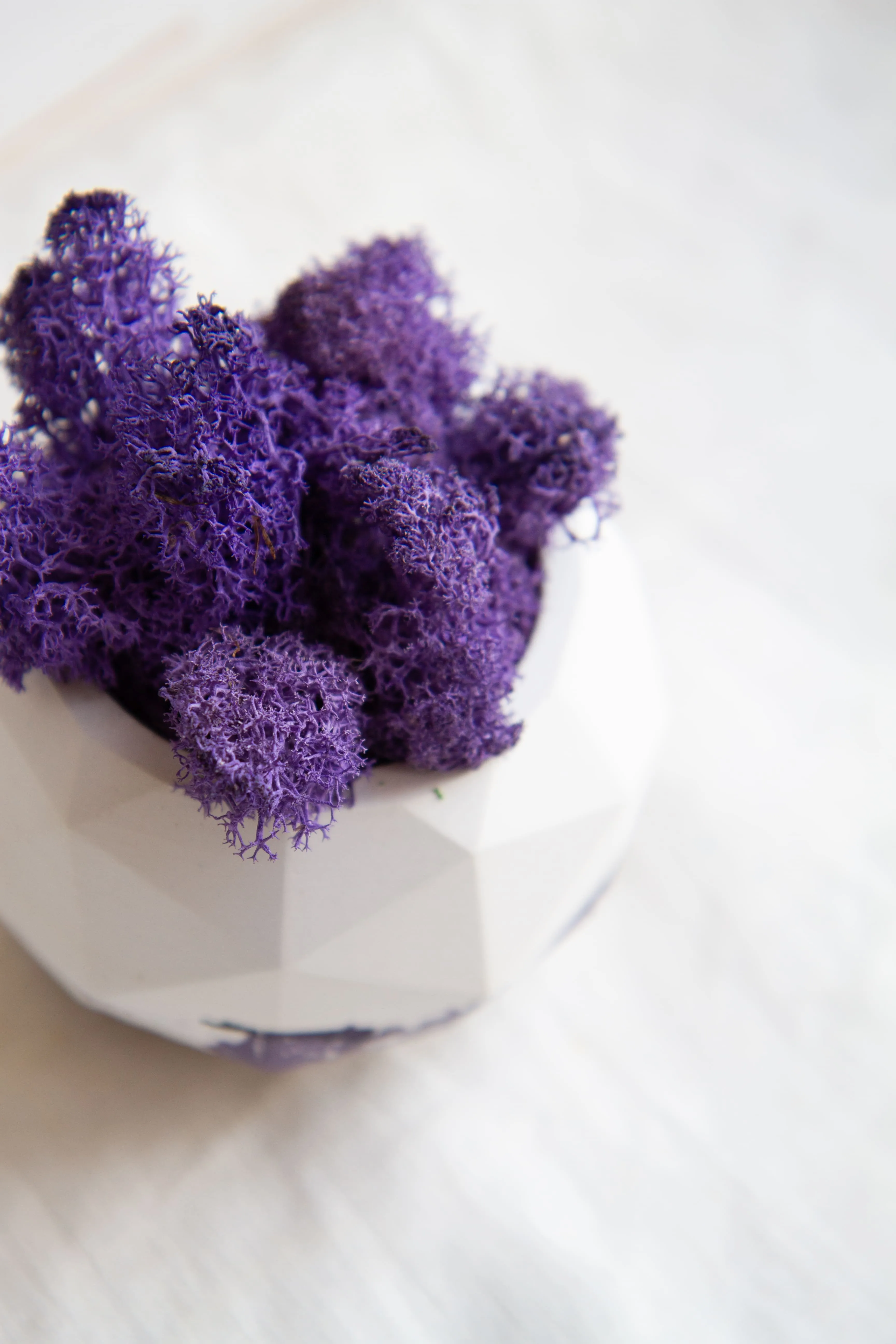Кашпо со мхом Сфера Геометрия (белый с фиолетовым) фиолетовый мох