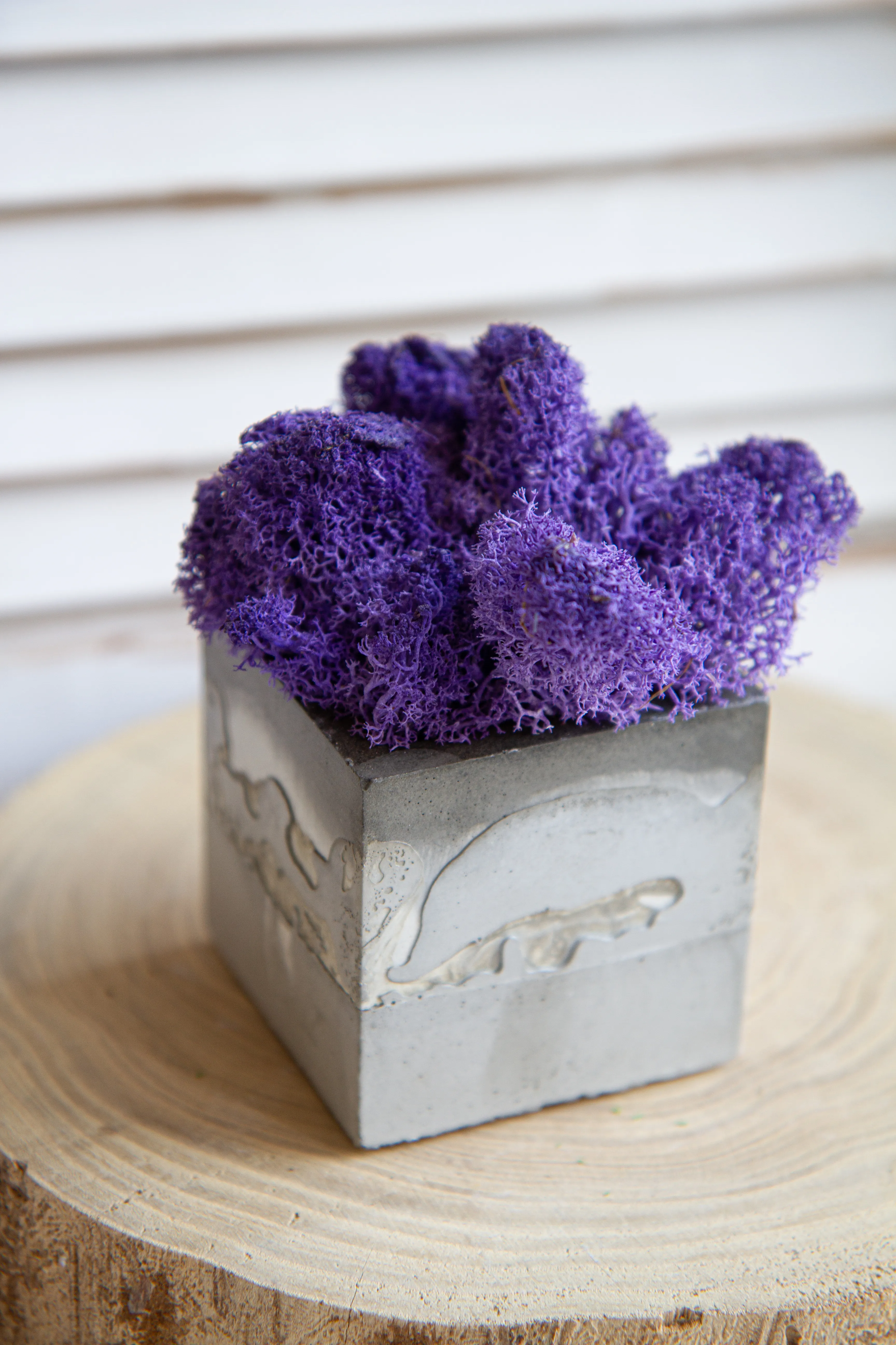 Кашпо со мхом Куб средний (светло-серый) фиолетовый мох