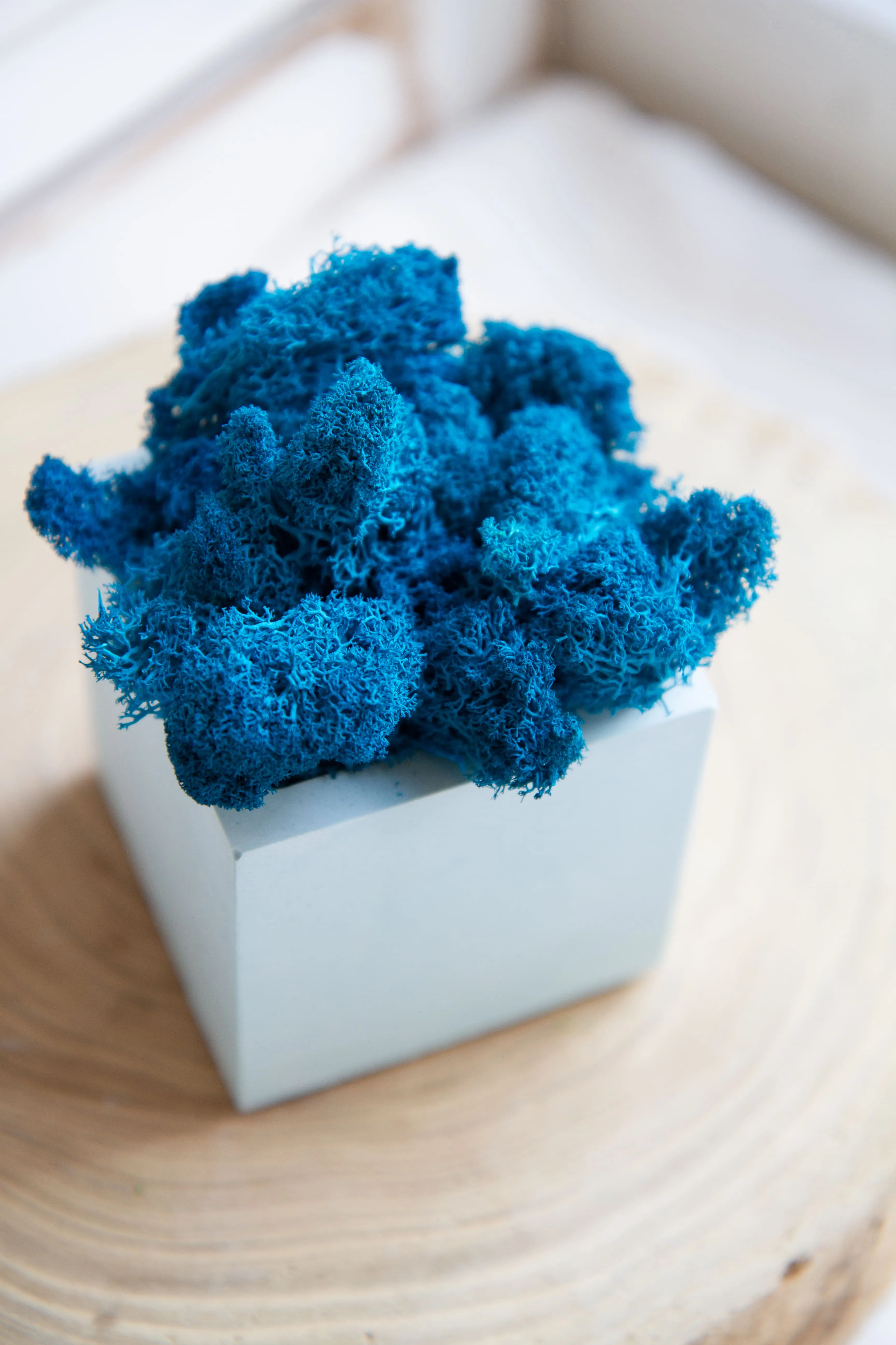 Кашпо со мхом Куб средний (голубой) синий мох