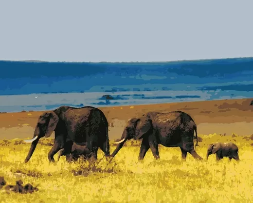 Картина по номерам Слоны в Африке