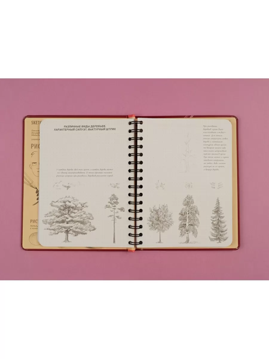 SketchBook. Визуальный экспресс-курс по рисованию (вишневый)