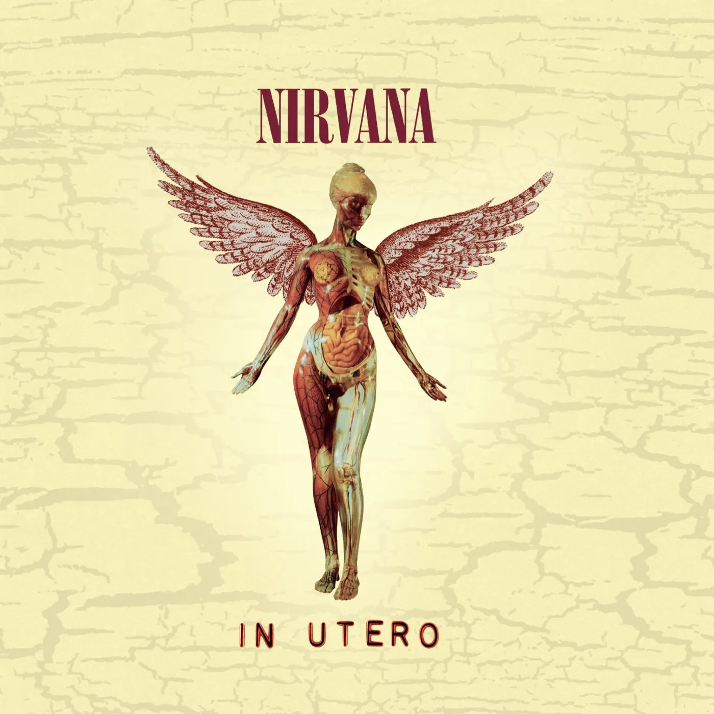 Пластинка (Р) Nirvana - In Utero