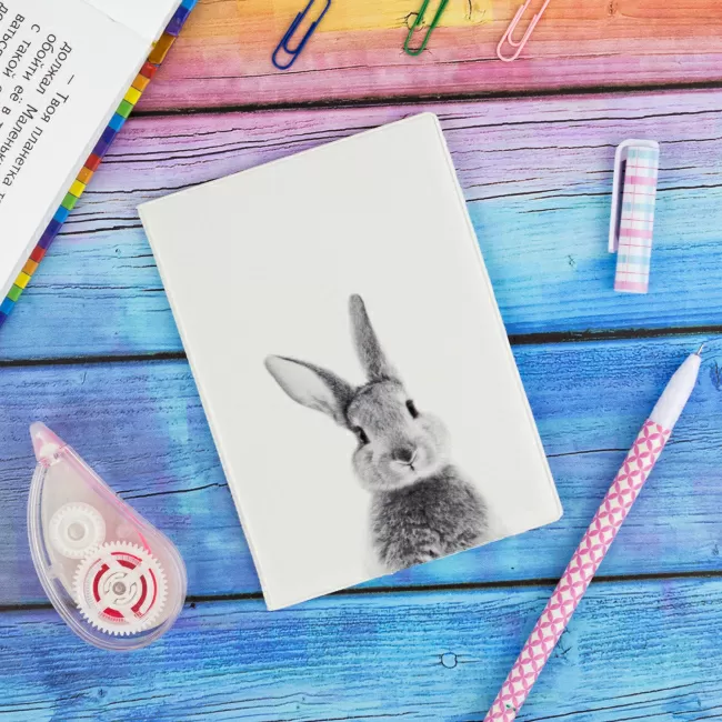 Обложка на автодокументы Кролик