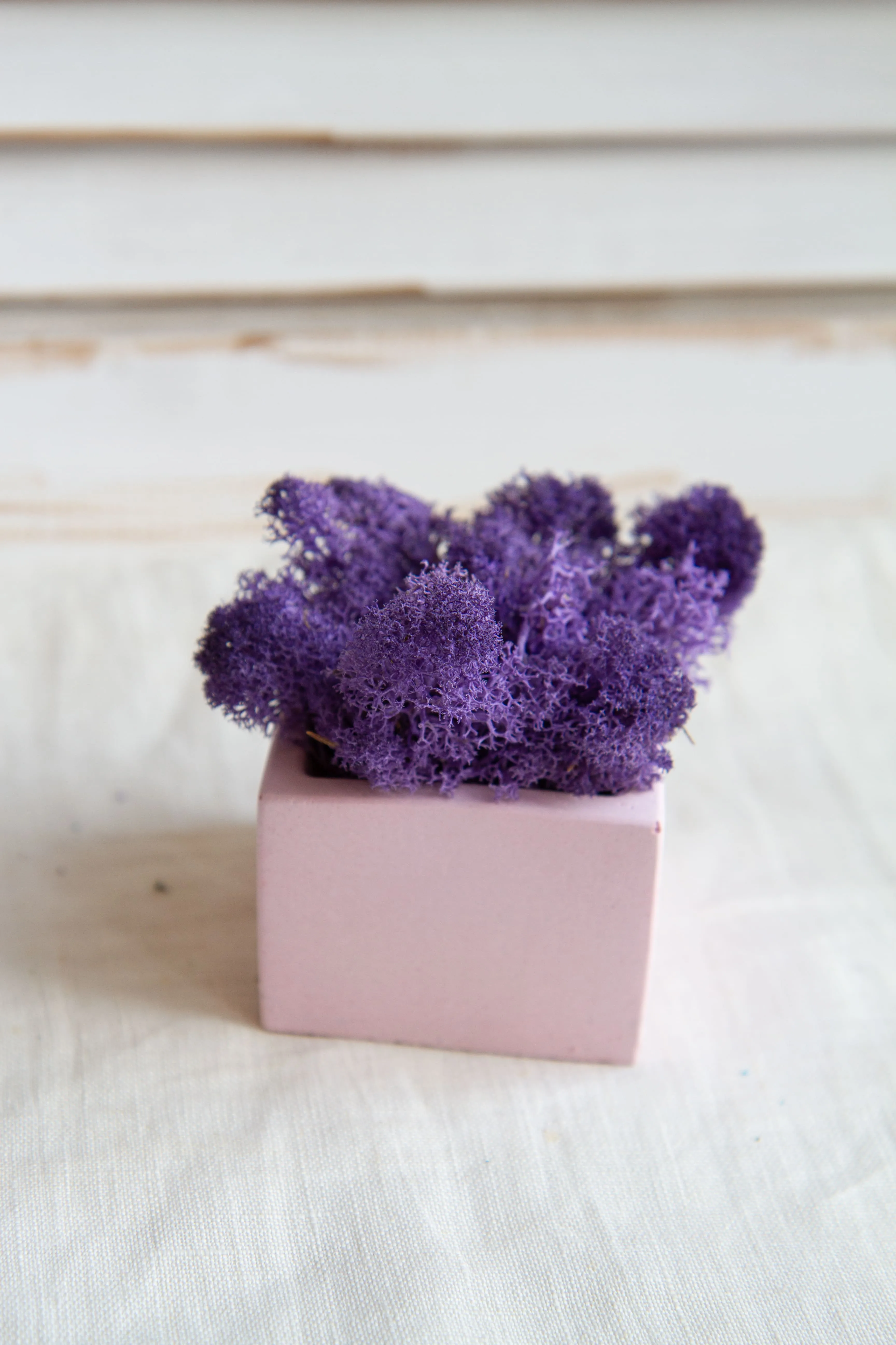 Кашпо со мхом Куб малый (розовый) фиолетовый мох