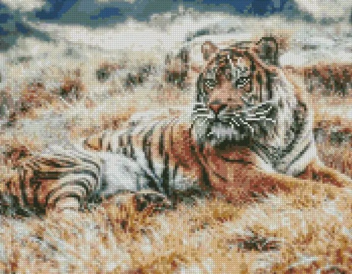 Алмазная мозаика 40x50 Бенгальский тигр (ZM-1906)