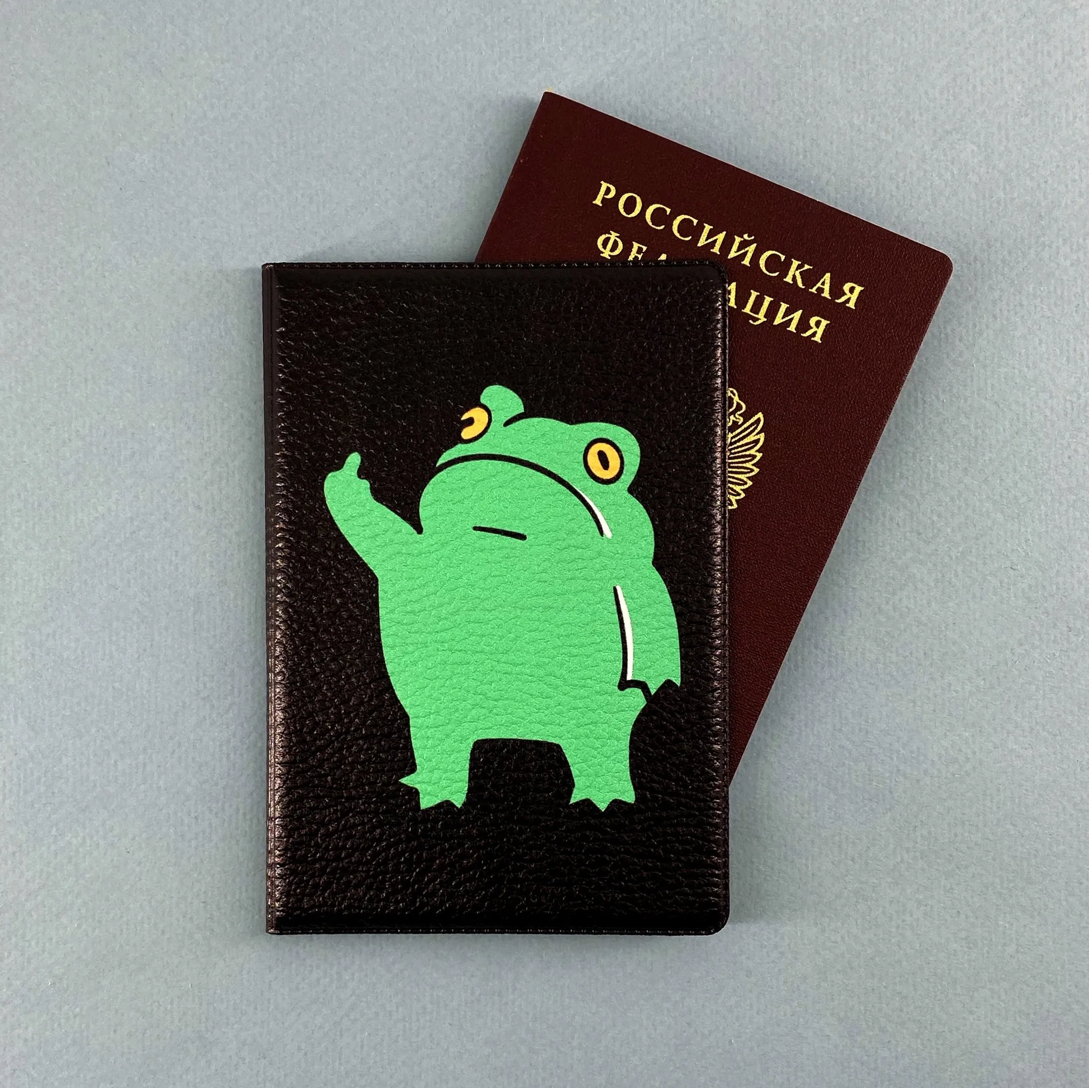 Обложка для паспорта Лягух