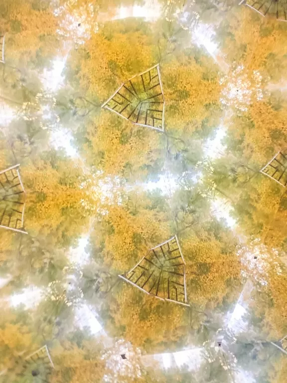 Телейдоскоп Климт. Дерево Счастья