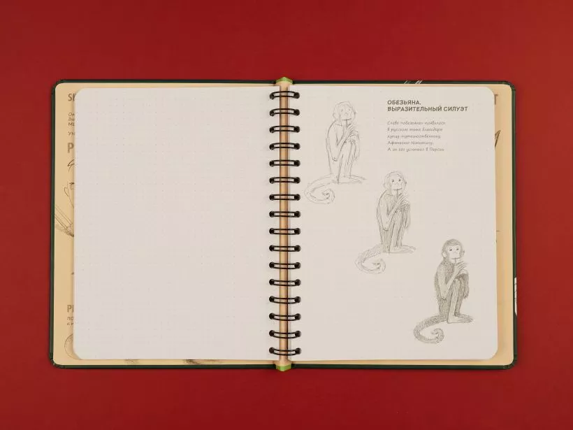 Sketchbook с уроками внутри. Рисуем животных (изумруд)