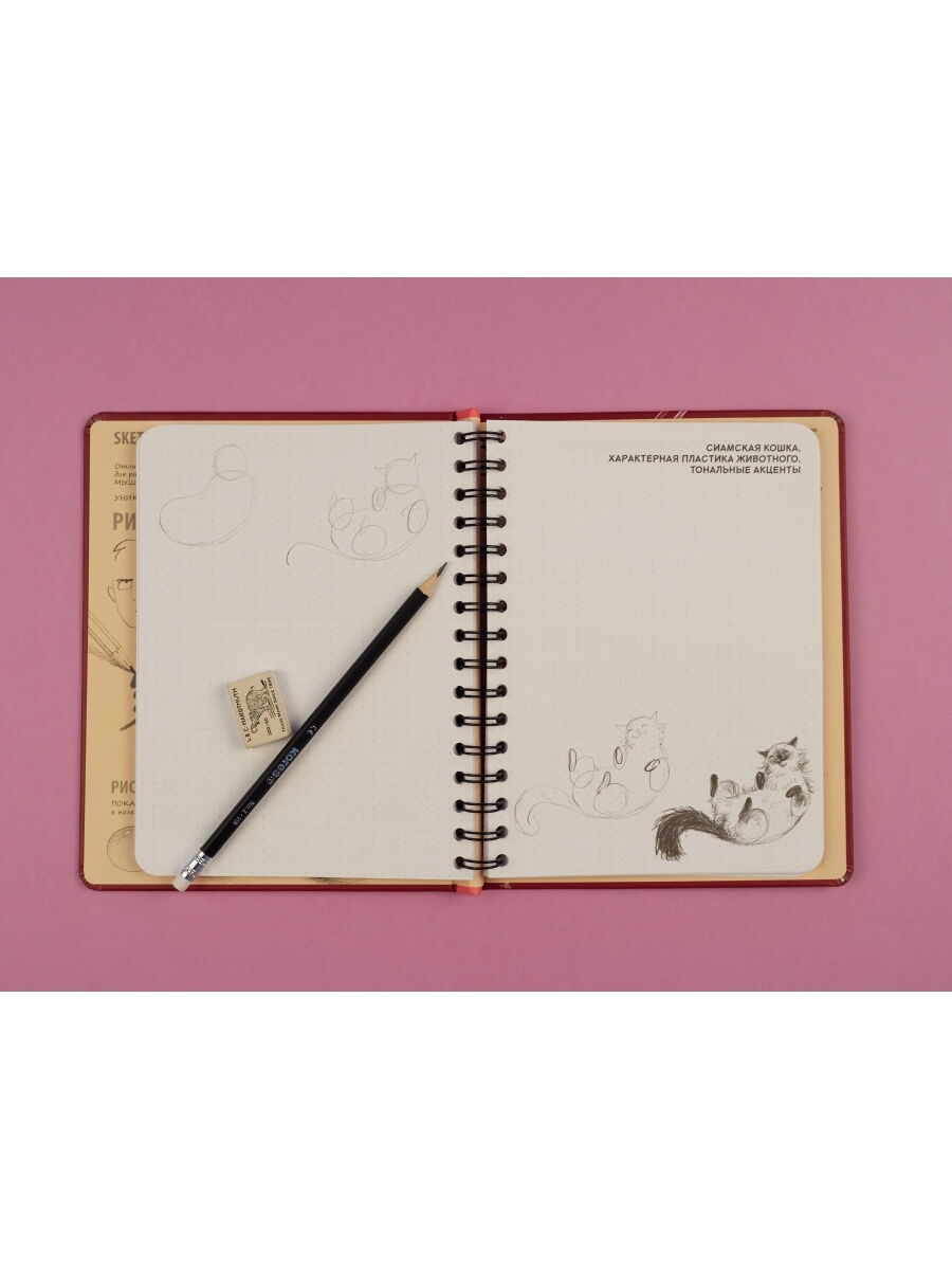 SketchBook. Визуальный экспресс-курс по рисованию (вишневый)