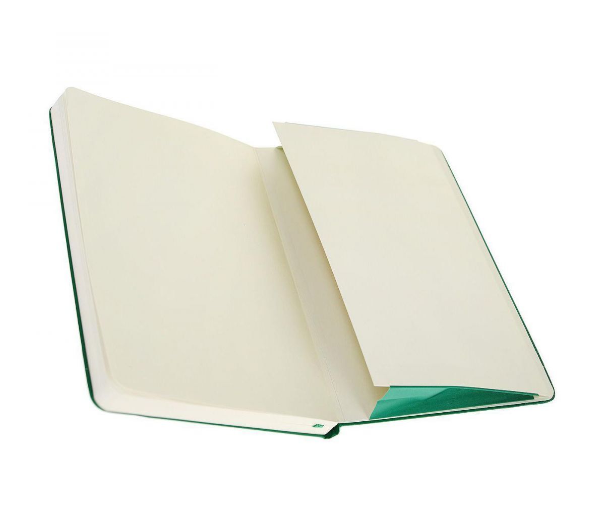 Записная книжка Classic (нелинованная) Large зеленый