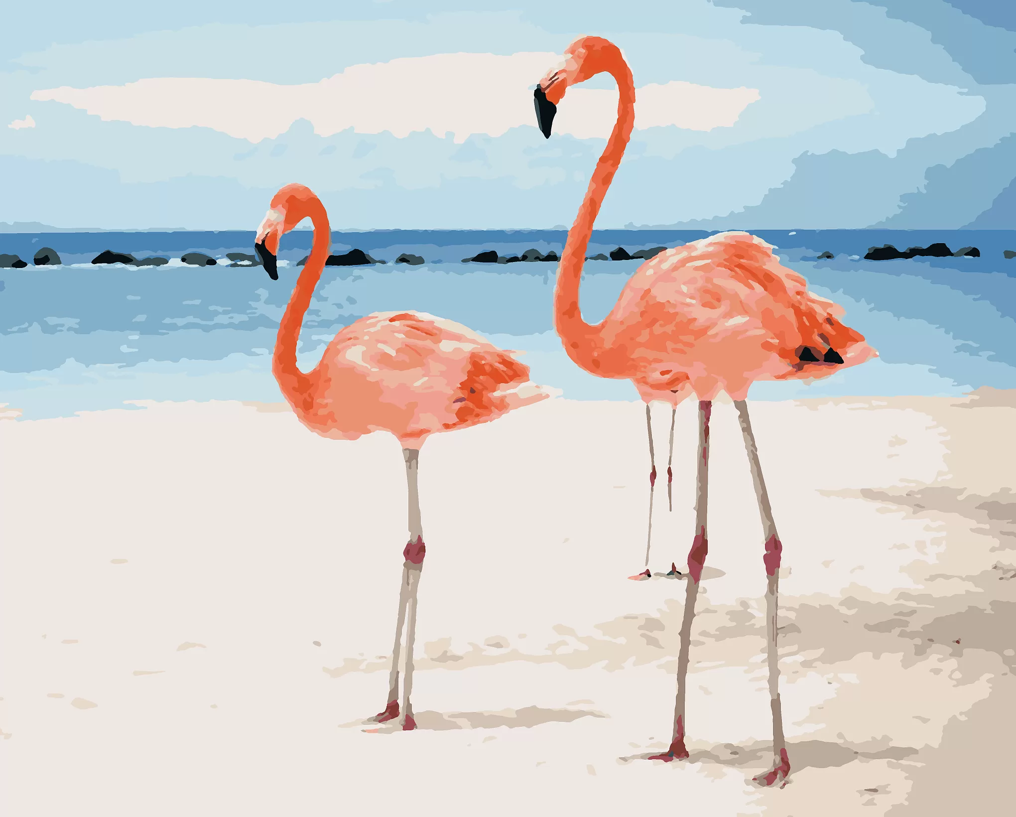 Картина по номерам Парочка фламинго на берегу