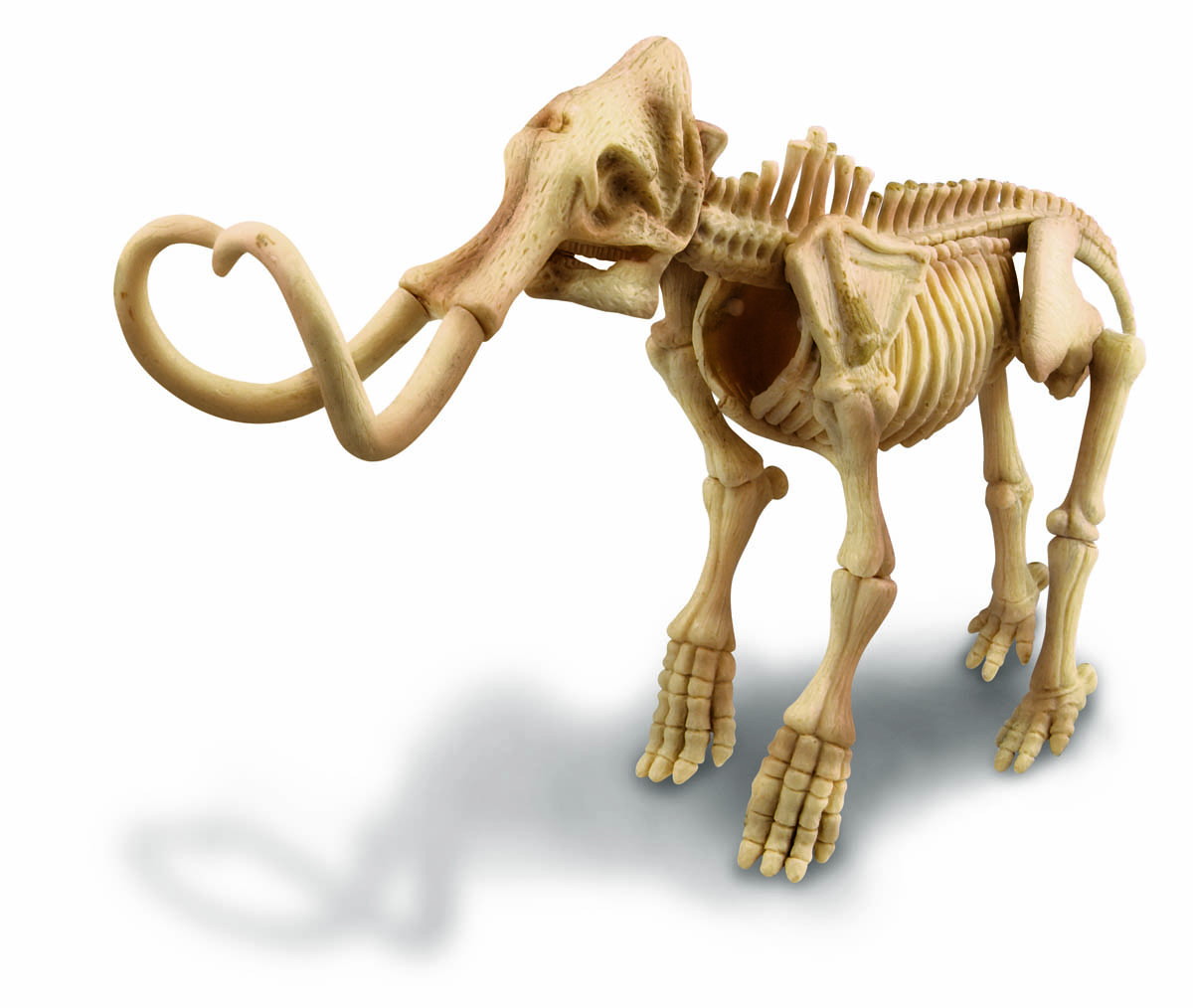 Скелет Мамонта