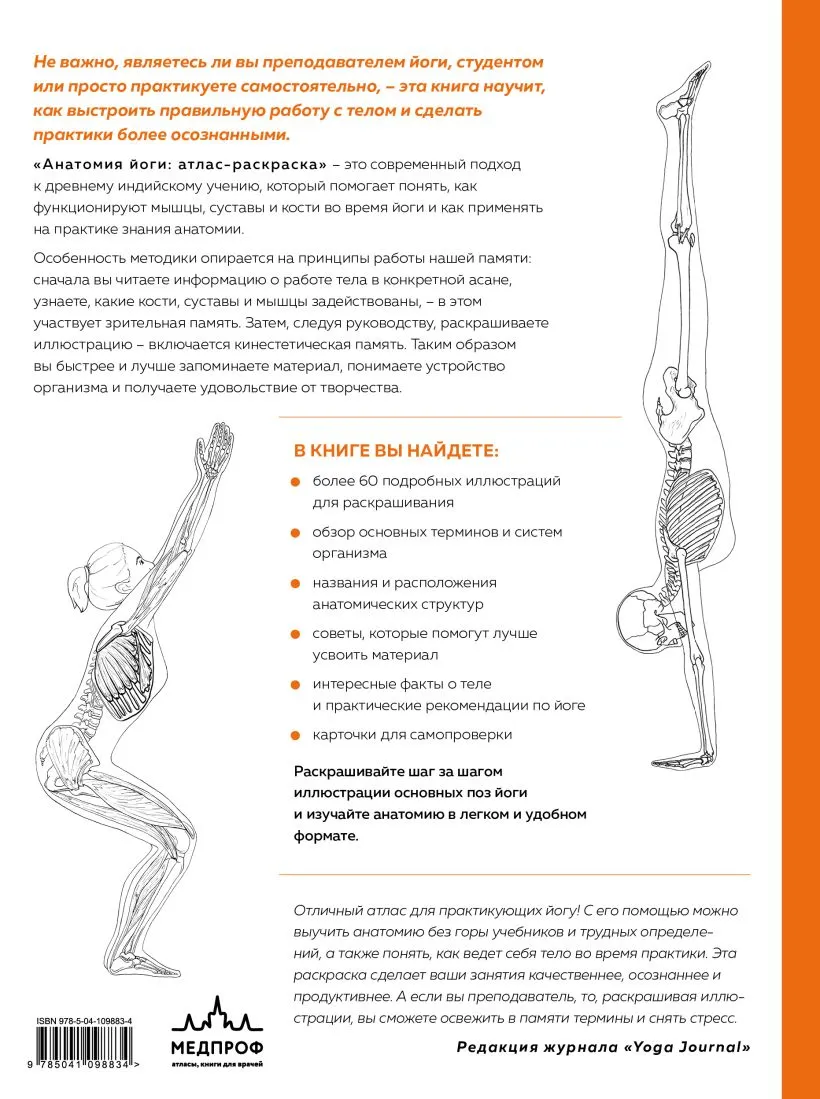 Анатомия йоги: атлас-раскраска. Визуальный гид по телу